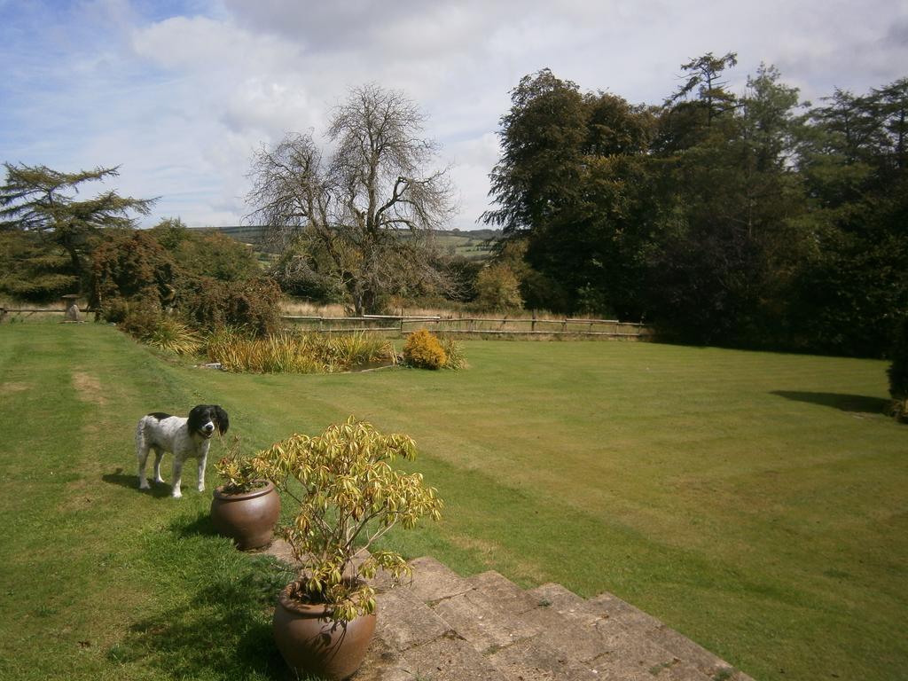 Stockleigh Lodge B&B Exford ภายนอก รูปภาพ